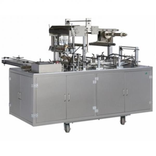 350kg Cigarette Paste Packing Machine #1 image