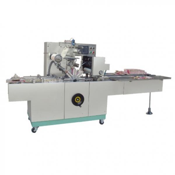 Automatic Plastic Pouch Molasses Shisha Tobacco Packing Machine in Factory Price 180-350mm #1 image