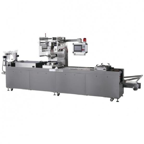 Carton Case Packer Machine/ Full Automatic Case Packer Machine / High Speed Case Packing Machine   2200KG #1 image