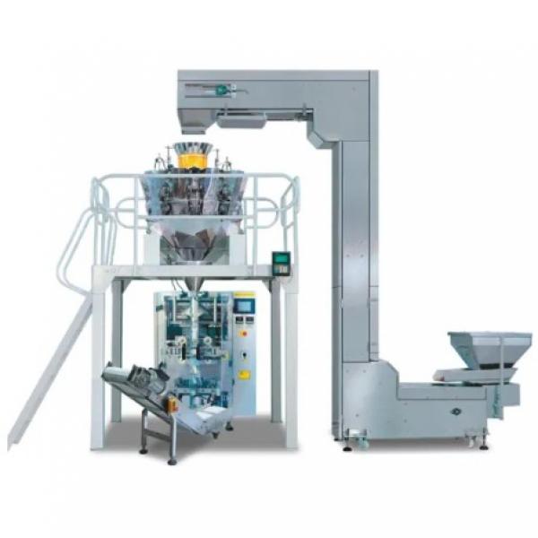 5000*1200*1650mm Made In China Automatic meat fresh food vegetable packing Machine #1 image